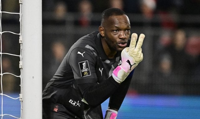 Le Stade Rennais vole au secours de Steve Mandanda