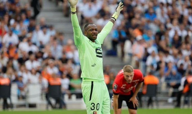 Lille - Rennes : Steve Mandanda blâme la situation de son équipe